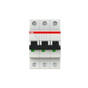 2CDS273001R0064 ABB S203M-C6