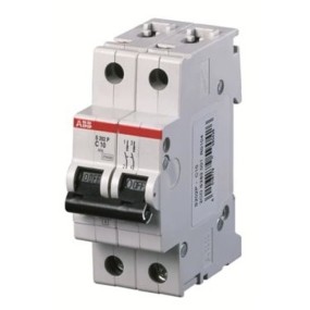2CDS282001R0404 ABB S202P-C40